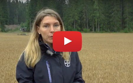 Still from video. Consultant in field. YouTube play button on top